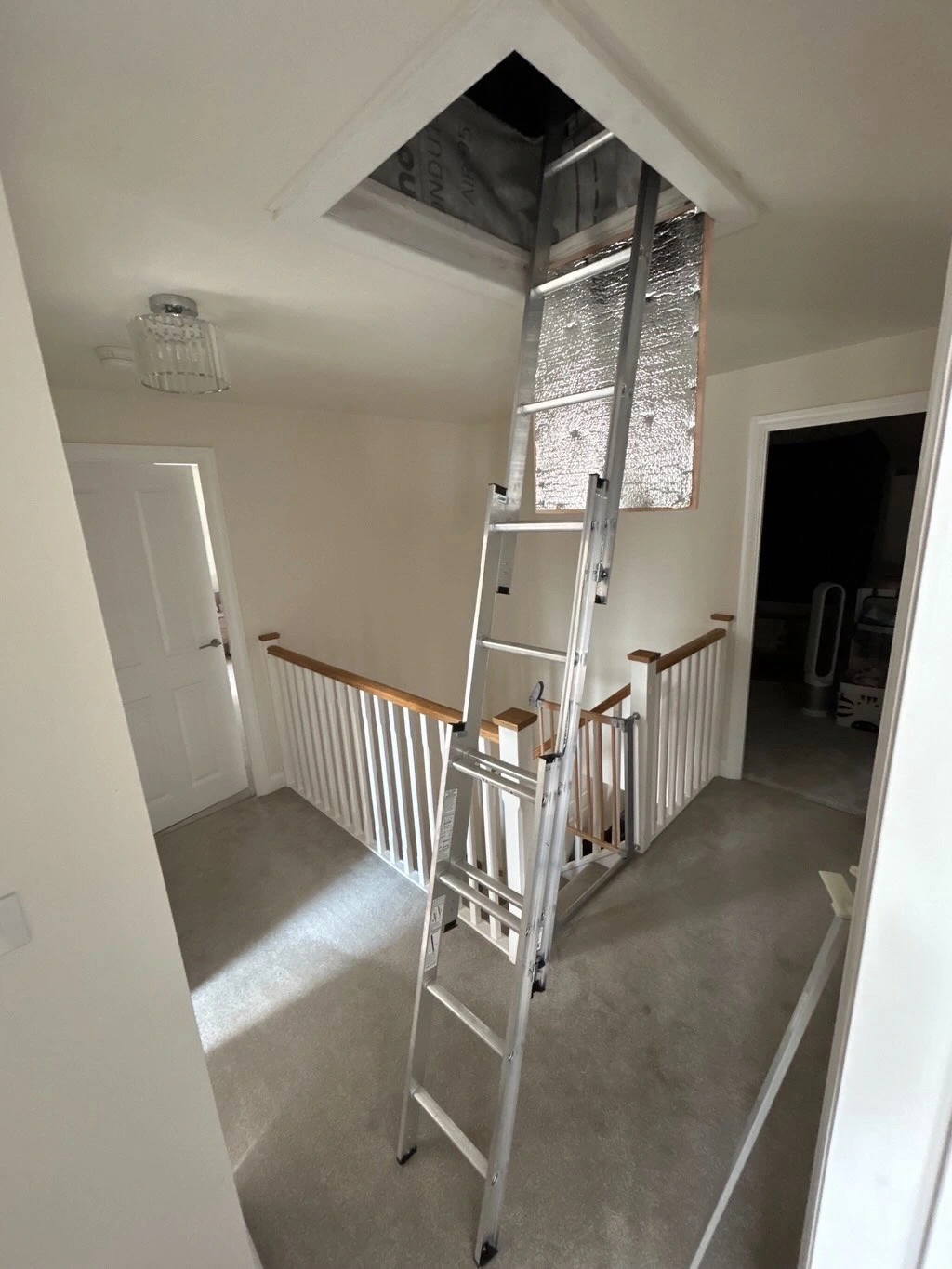 Loft Ladders